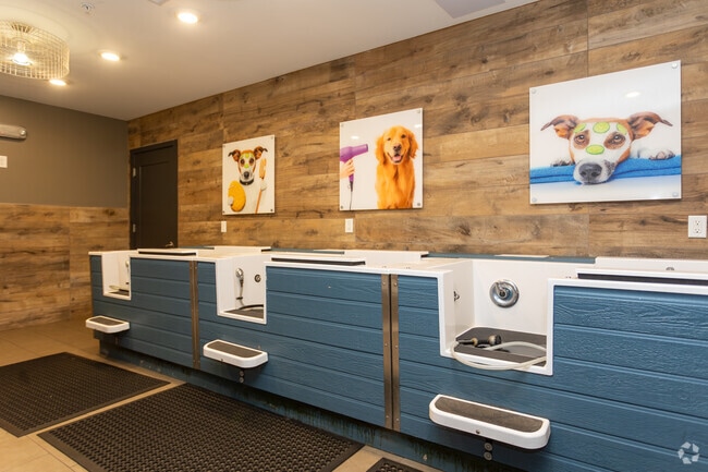 Pet Spa