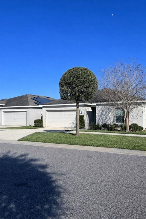 Photo - 360 Willet St