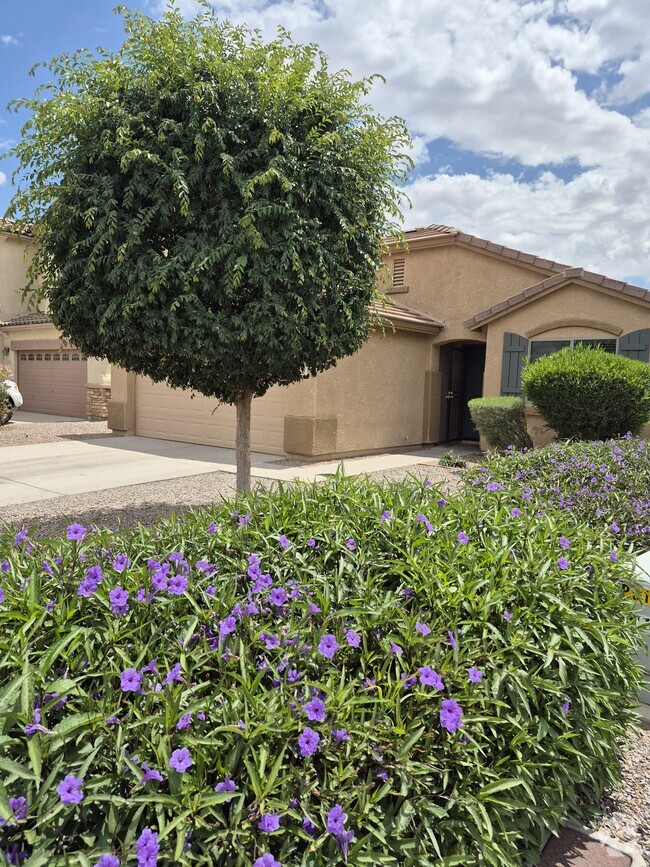 Building Photo - 1725 W Matthews Dr Rental