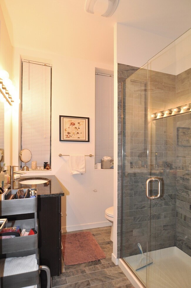 Photo - Video Tour- Wicker Park Large Top Floor 1 Bed (Big Enough For A King), w/Great Sound Insulation, ... Unit 3R