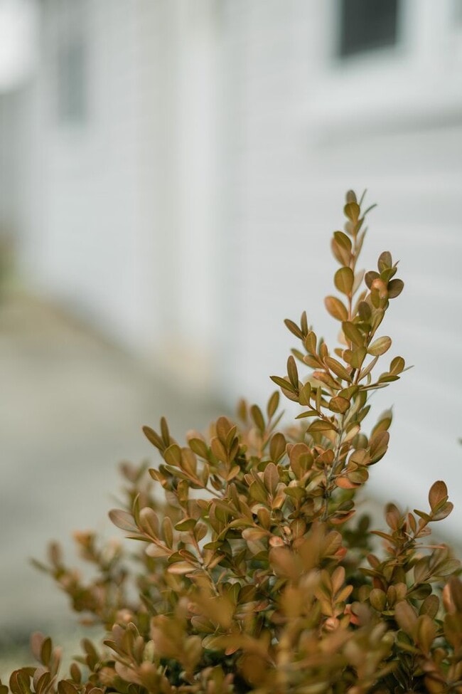 Photo - 3 Bedroom / 1 Bathroom Home for Rent in Crown Point