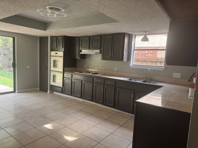 Photo - 10106 Prairie Mist St