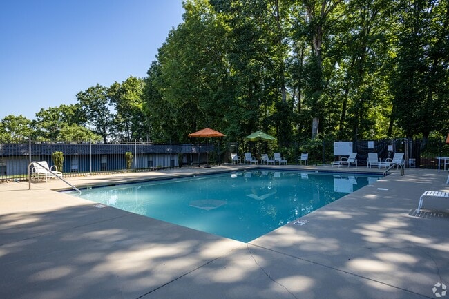 Piscina con terraza - The Abigail