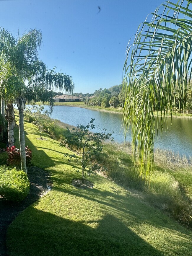 Photo - 20000 Barletta Ln