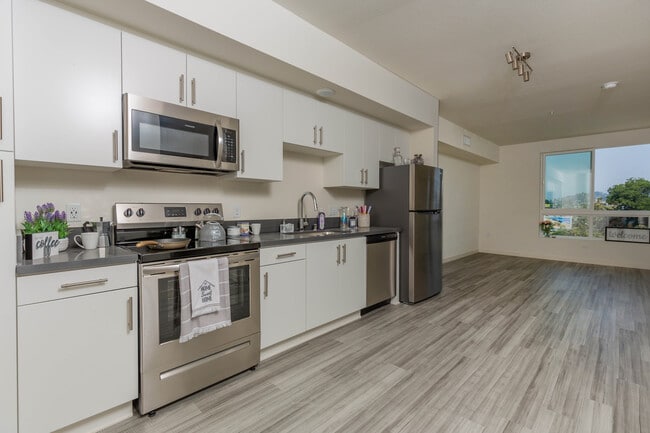 Photo - zMacro at Echo Park