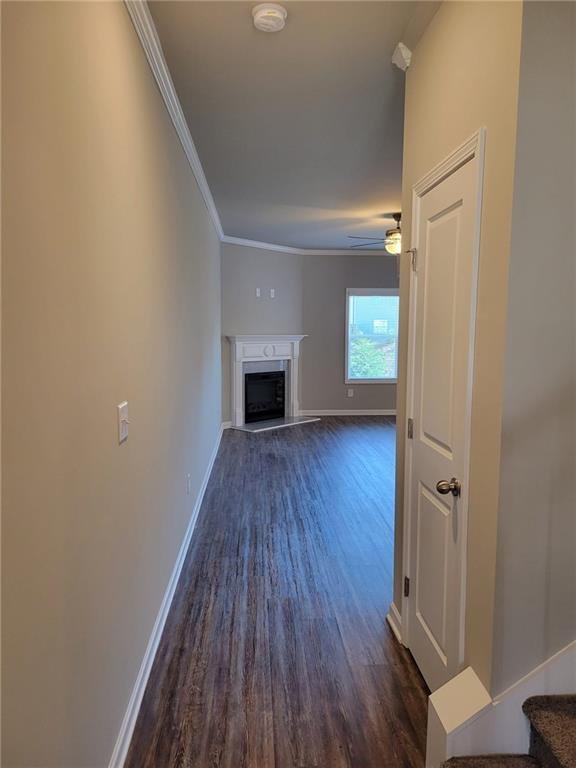 Photo - 5205 Fox Den Rd