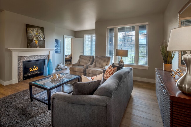 Gas Fireplaces
