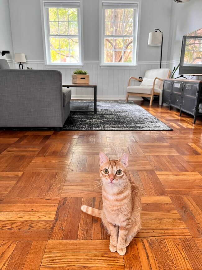 Photo - 6616 E Wakefield Dr Unit A1