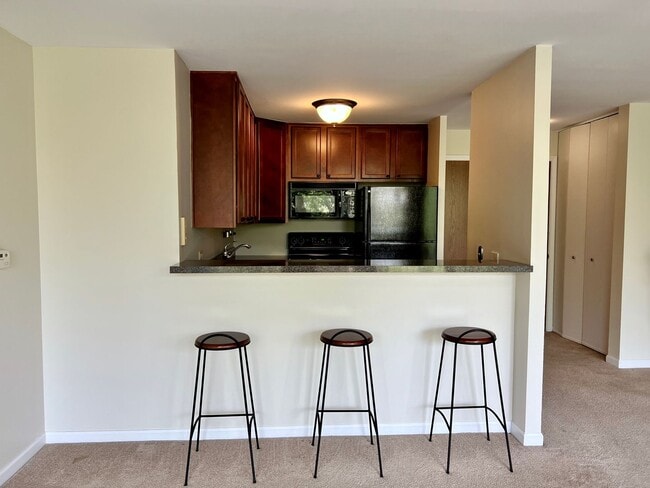 Photo - Bright and Relaxing 3rd floor OPEN CONCEPT 1 Bed / 1 Bath Condo For Rent! In-Unit Washer & Dryer!... Unit 3F