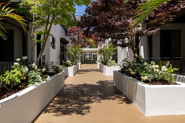 Photo - Vista Paradiso