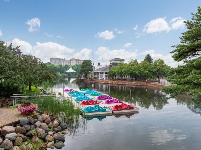 Paddle Boats at Centennial Lake - 7540 Edinborough Way Condo Unit #1202