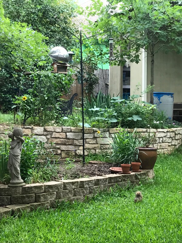 Photo - 903 Sweetwater River Dr