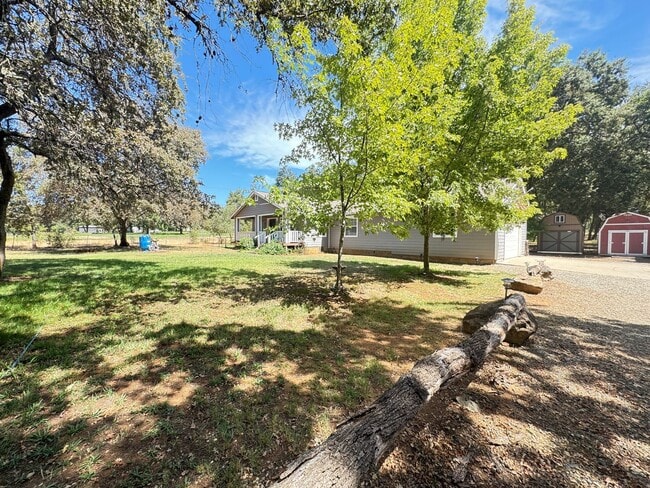 Building Photo - 3 bed/2 ba country home