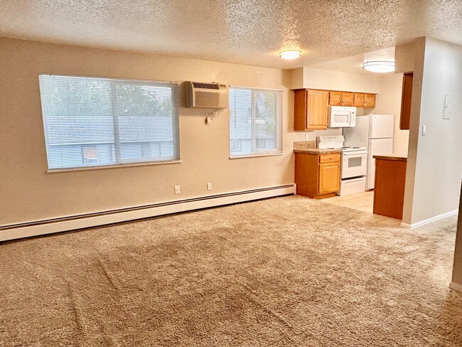 Bright and airy apartment with spacious carpeted living area and cozy kitchen featuring wooden cabinetry and modern appliances. - 947-951 Allison Street