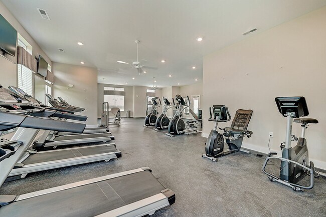 Gimnasio