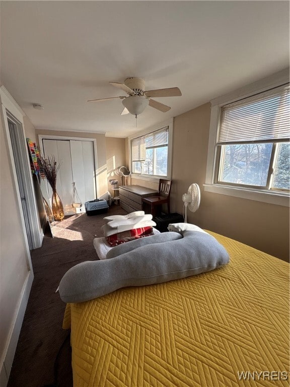 Photo - 5334 Genesee St