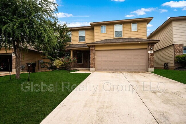 Photo - 469 Eastern Phoebe