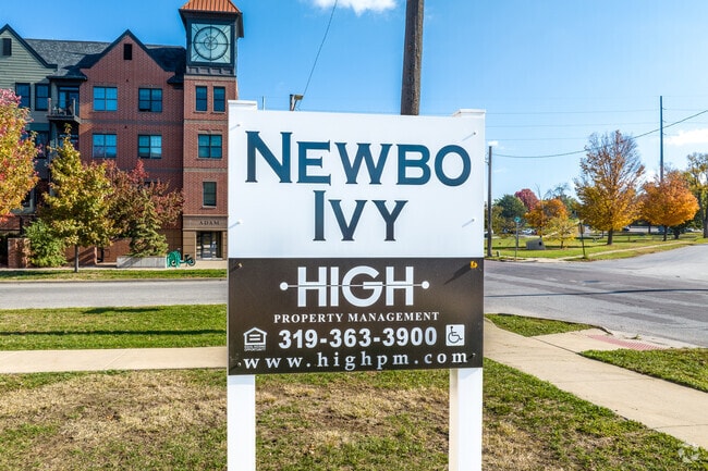 NewBo Ivy