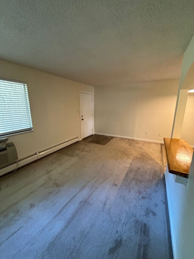 Photo - Jasmine Condos Updated 1 bd/1ba Unit 104