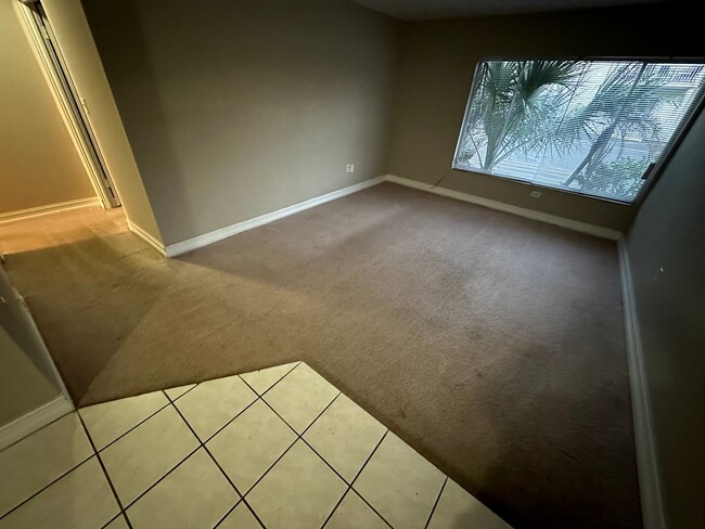 Photo - Green Tee - # 206 Unidad 1