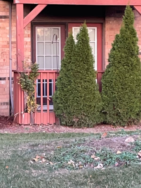 Photo - 1905 Tall Oaks Dr