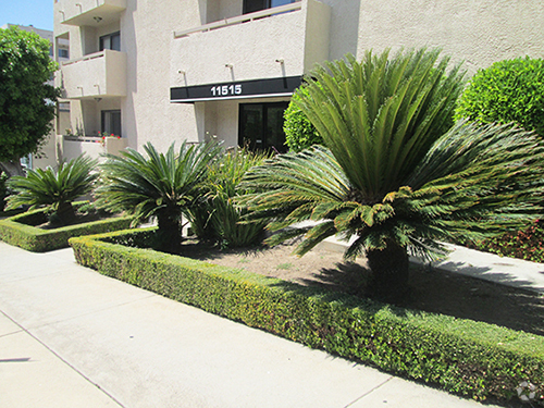 Building Entrance - 11515 Rochester Ave Rental