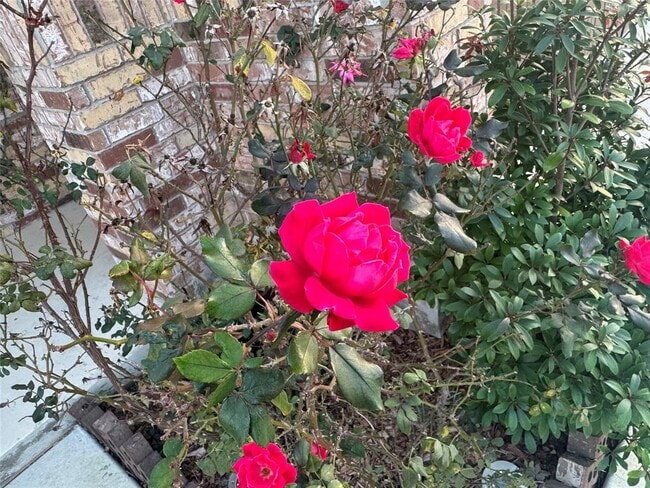 Photo - 4433 Venticano Pl