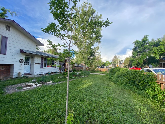 Photo - 2524 W Plum St