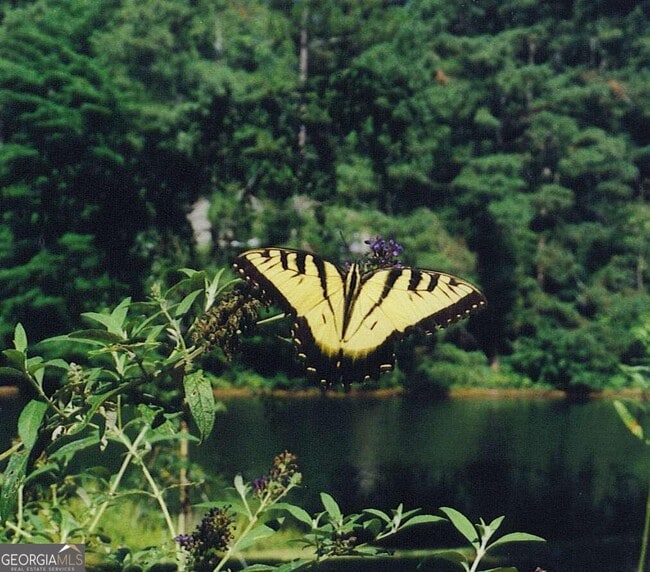 Photo - 363 Kenilworth Cir