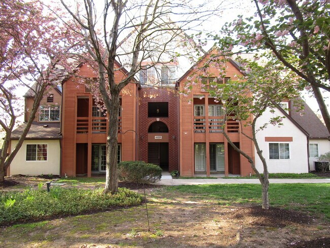 Photo - Terrace Level 1BR/1BA Updated Condo in Dor...