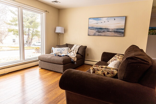 Living area, a lot of sunlight - 105 Tyler Rd