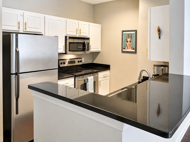 Granite countertops in kitchen - 1000 Providence Plz Unit 259