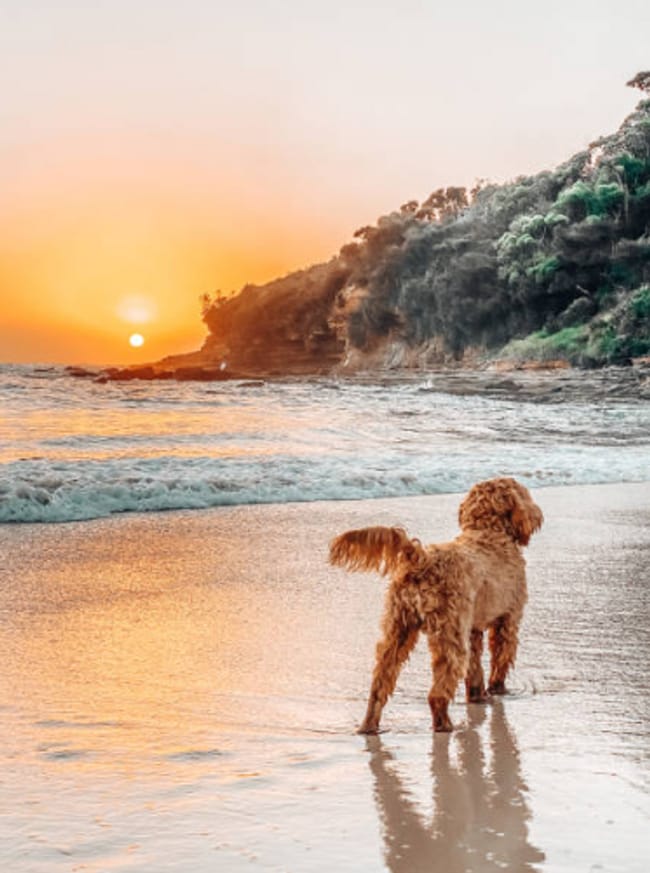 Building Photo - Beachwalk Lifestyle Starts Here!