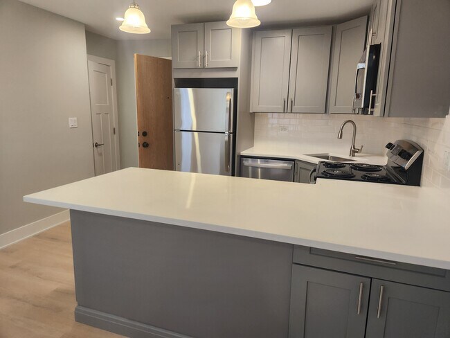 1212 N La Salle Dr Unit 5