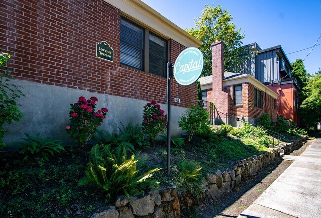 Charming NW 1-Bed Ready Late May! - Charming NW 1-Bed Ready Late May! Apartment Unit 1952-3