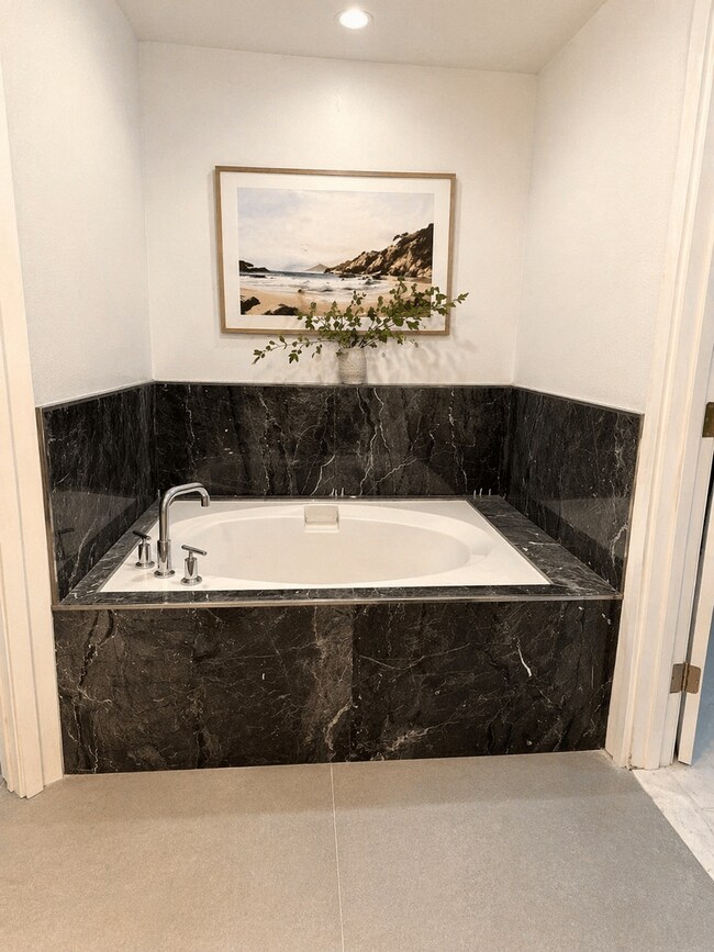 New primary bathroom tub