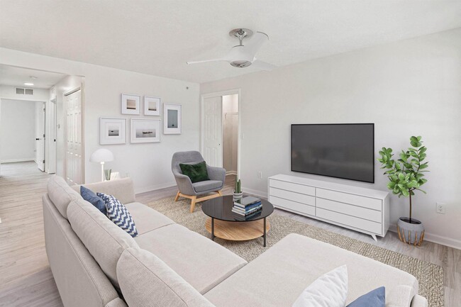 Photo - Autumn Woods