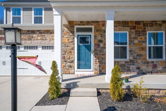 Photo - Blackburn's Finest!