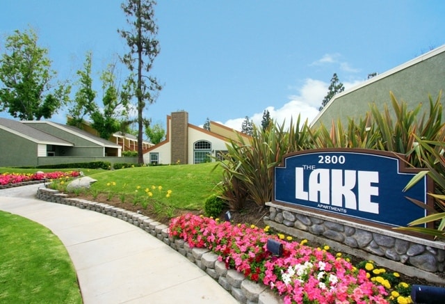 The Lake