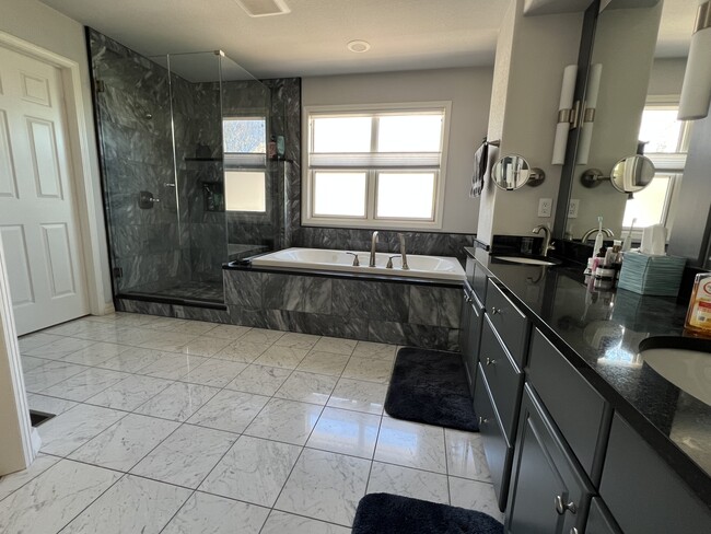 Baño principal - 4150 S Hampton Cir