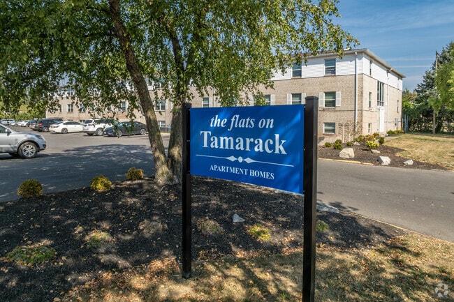 Flats on Tamarack
