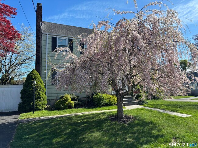 Photo - 11 Fairlea Ave