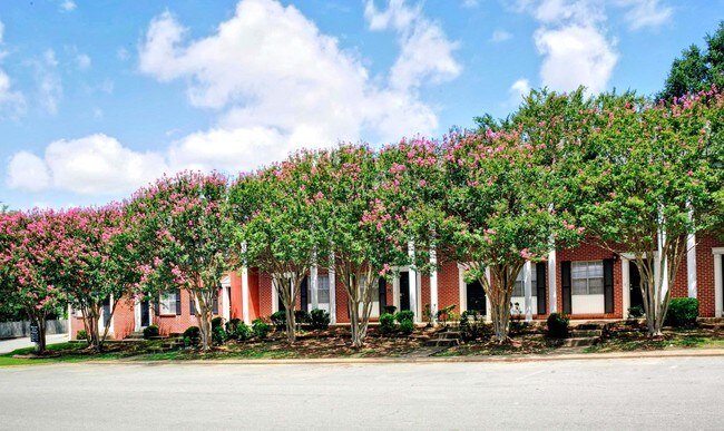 Markham Oaks
