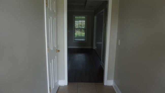 Photo - Luxury in Lakeland, GA