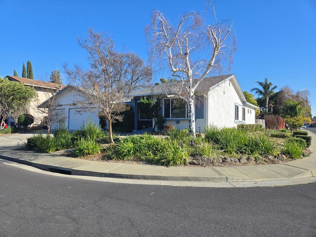 Newly Updated 4 Bed, 2.5 Bath on Corner Lot - Newly Updated 4 Bed, 2.5 Bath on Corner Lot House