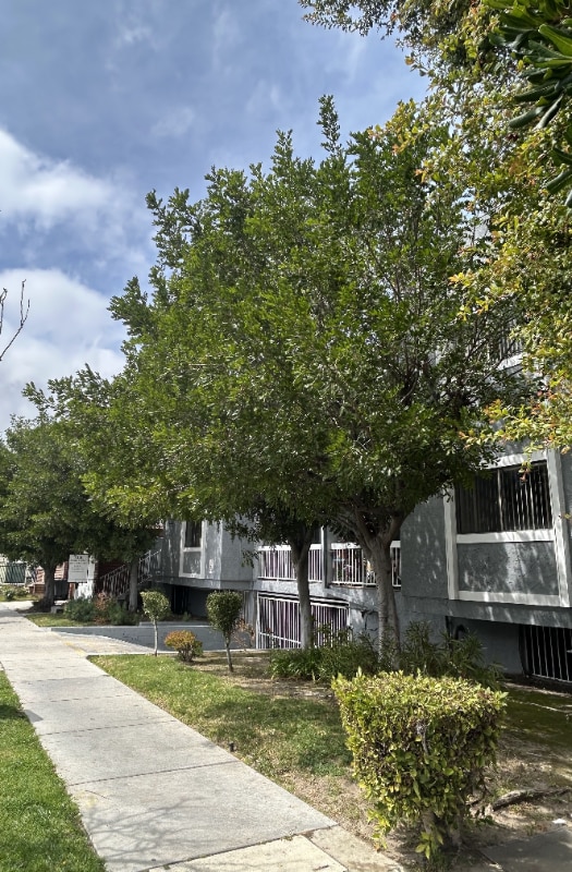 Photo - 309 E Elk Ave Unidad 107