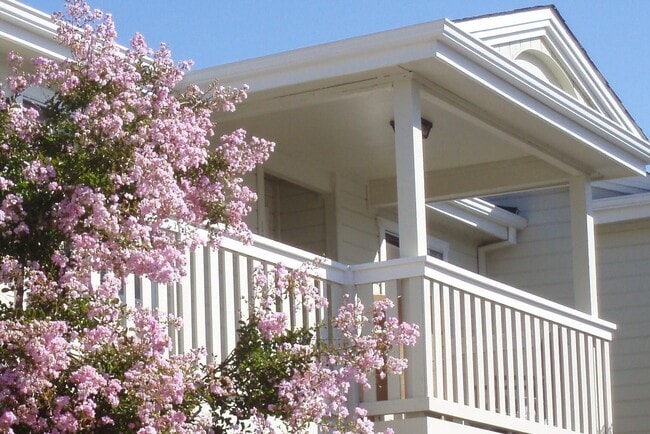 Photo - Beautiful Downstairs 1 Bedroom 1 Bath Apartment just minutes from the Sonoma Plaza!