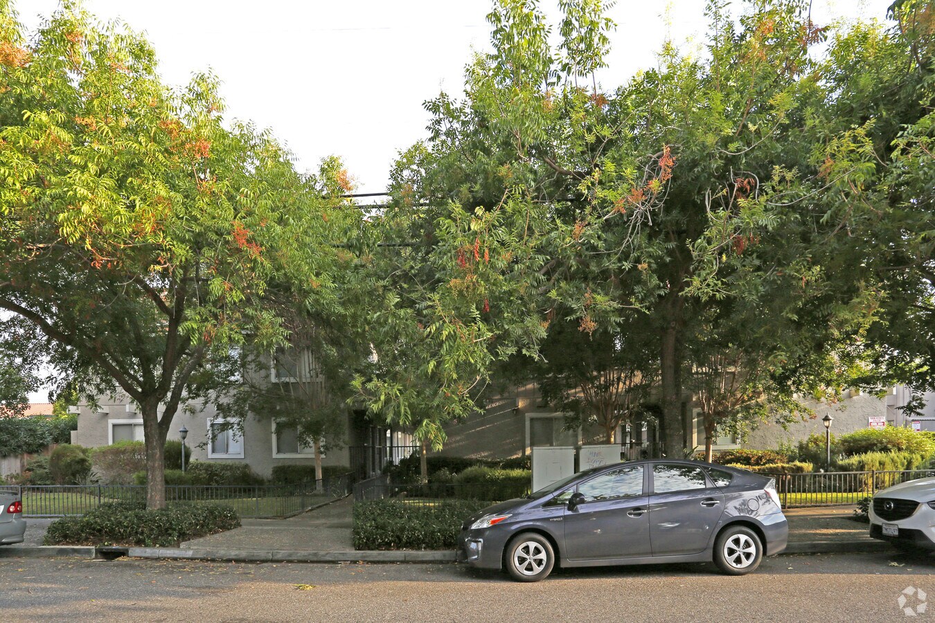 Photo - Fontainbleau