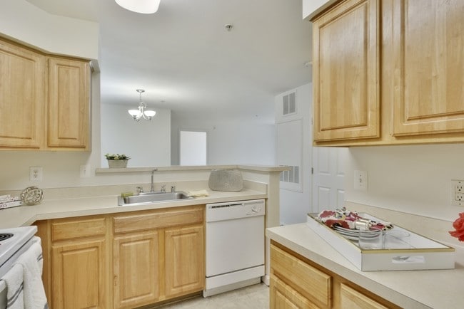 Potomac Station Kitchen