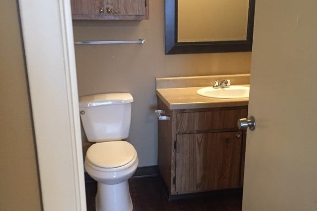 Bathroom View